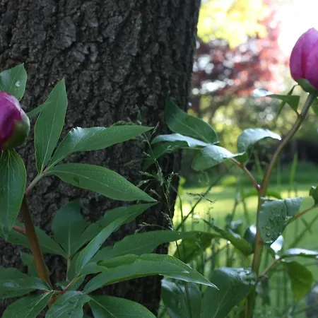 Casas Del Palomar I & Ii