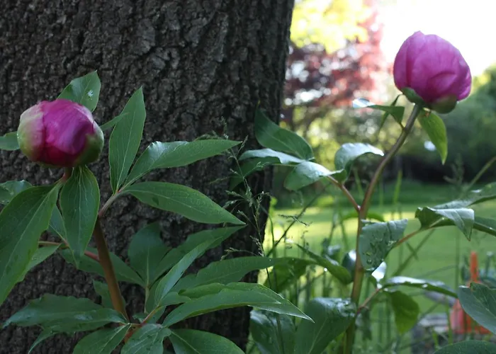 Las Casas Del Palomar I & Ii