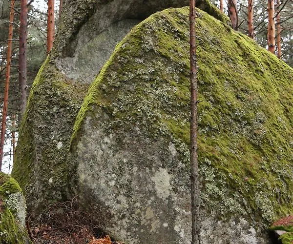 Las Casas Del Palomar I & Ii Ortigosa del Monte